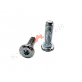 Болт кріплення гальмівного диска м8 * 35L...