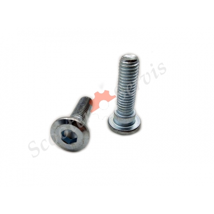 Болт кріплення гальмівного диска м8 * 35L